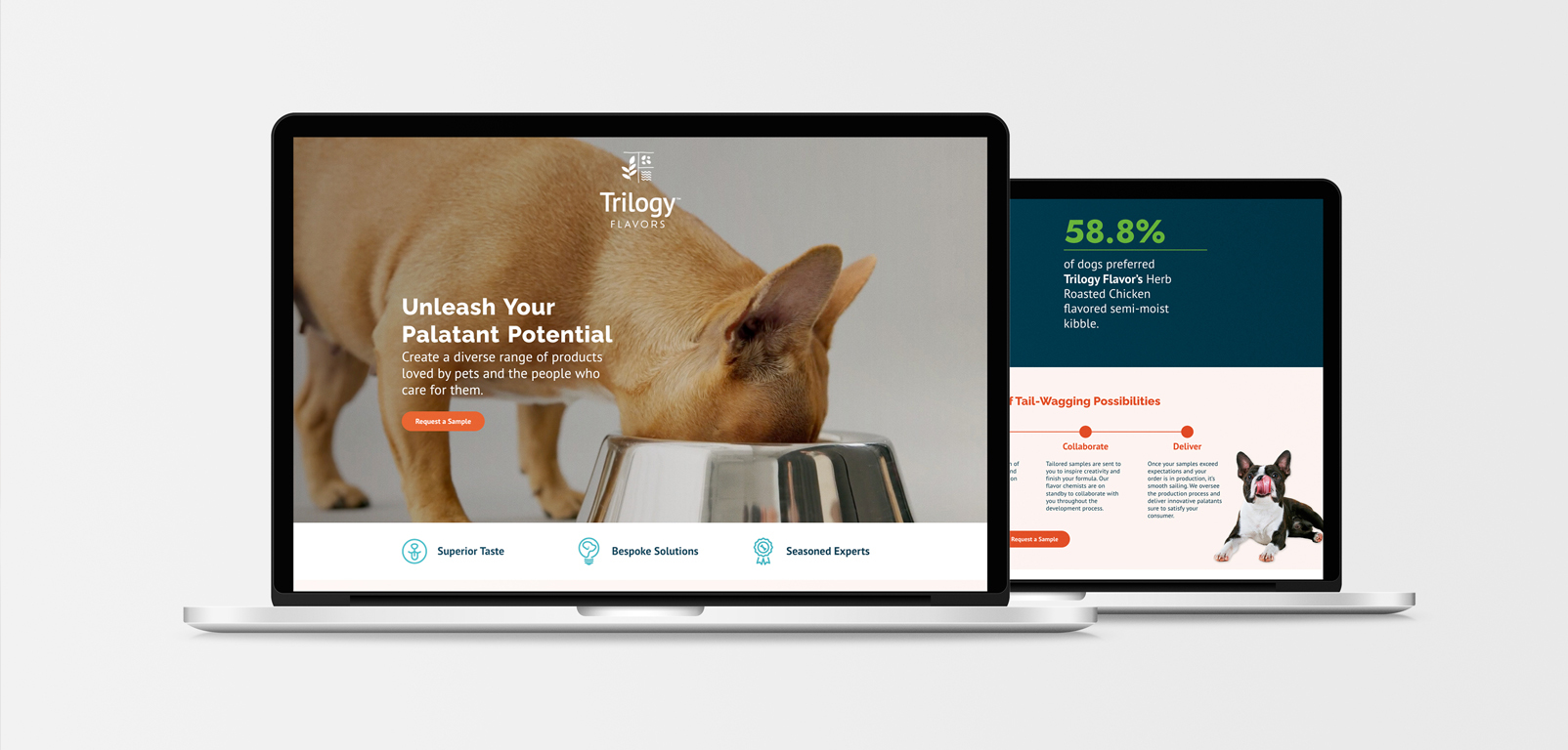 The Power of Landing Pages for Campaign Success