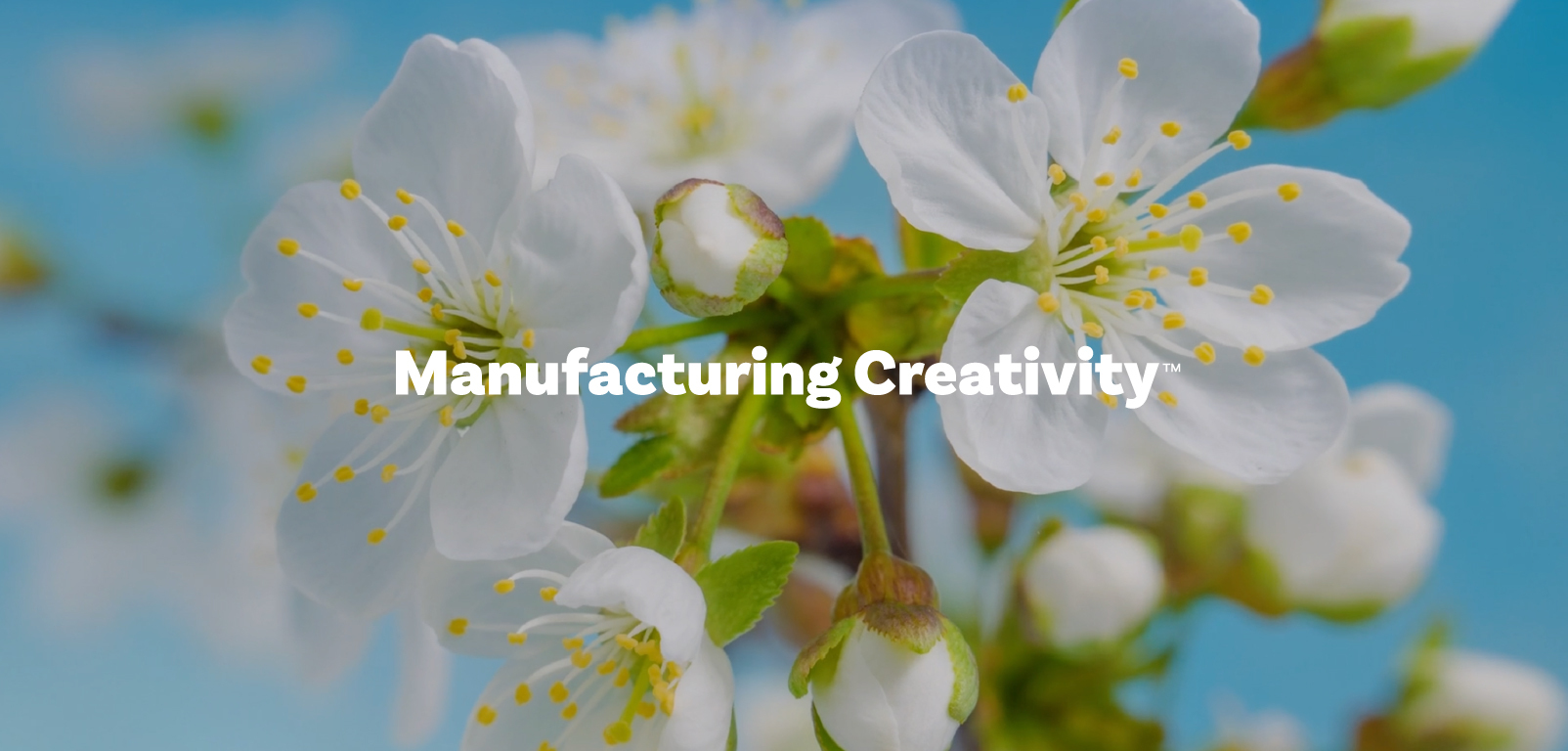 Costello Creative Group Unveils New Website, Deepening Commitment to B2B Manufacturing Industries2