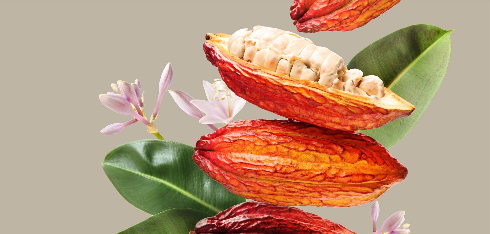 Content Development That Inspires: How We Elevate Flavor & Fragrance B2B Brands